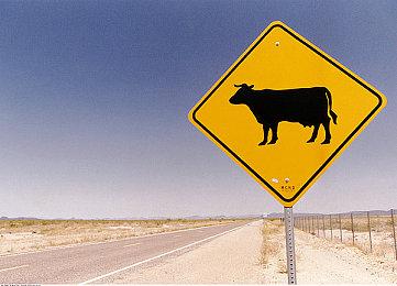 《艾尔登法环》新DLC登陆平台确定 全平台都有